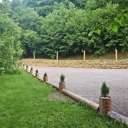 Bosna Donji Vakuf